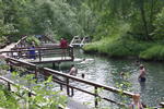 Liard River Hot Springs Provincial Park BC